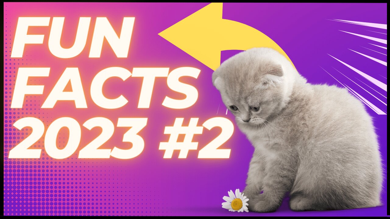 Funny Facts 23 #2