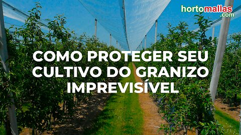 Como proteger seu cultivo do granizo imprevisível.