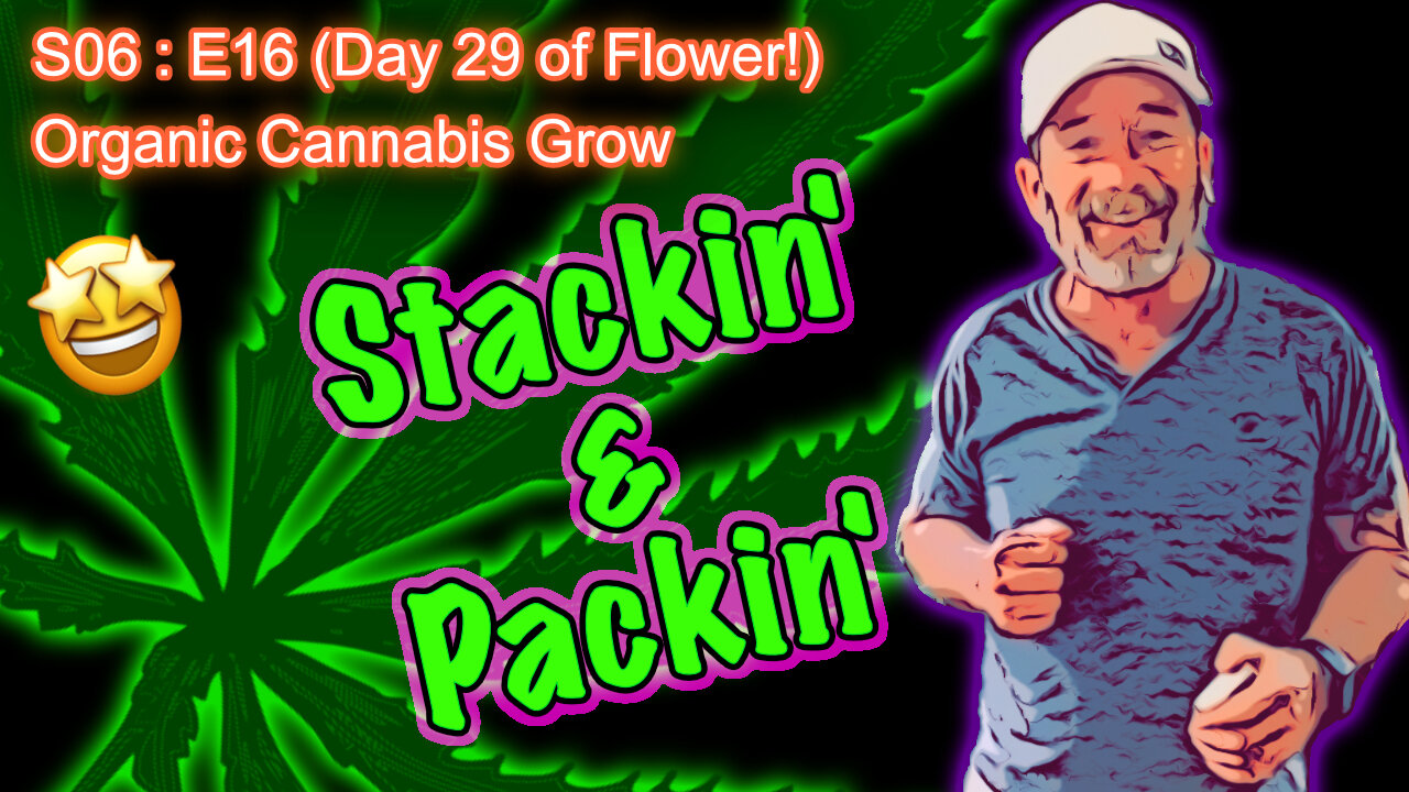 S06 E16 (Day #106) || Day 29 of Flower ||