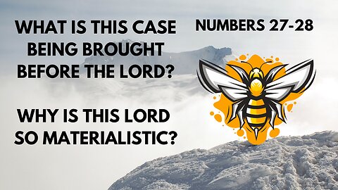 WHAT IS THIS CASE BEING BROUGHT BEFORE THE LORD? WHY IS THIS LORD SO MATERIALISTIC? NUMBERS 27-28