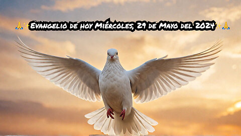 🙏✨Evangelio de hoy Miércoles, 29 de Mayo del 2024✨🙏
