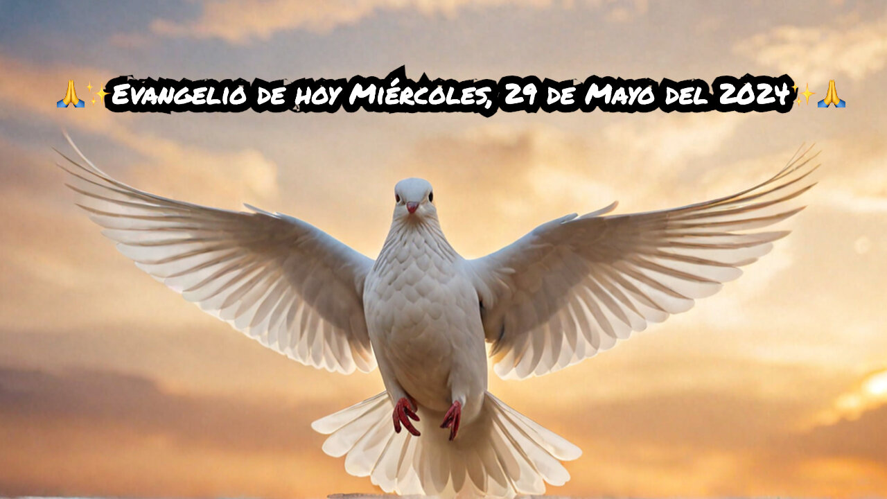 🙏✨Evangelio de hoy Miércoles, 29 de Mayo del 2024✨🙏