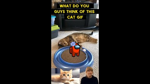Cute Cat Gif