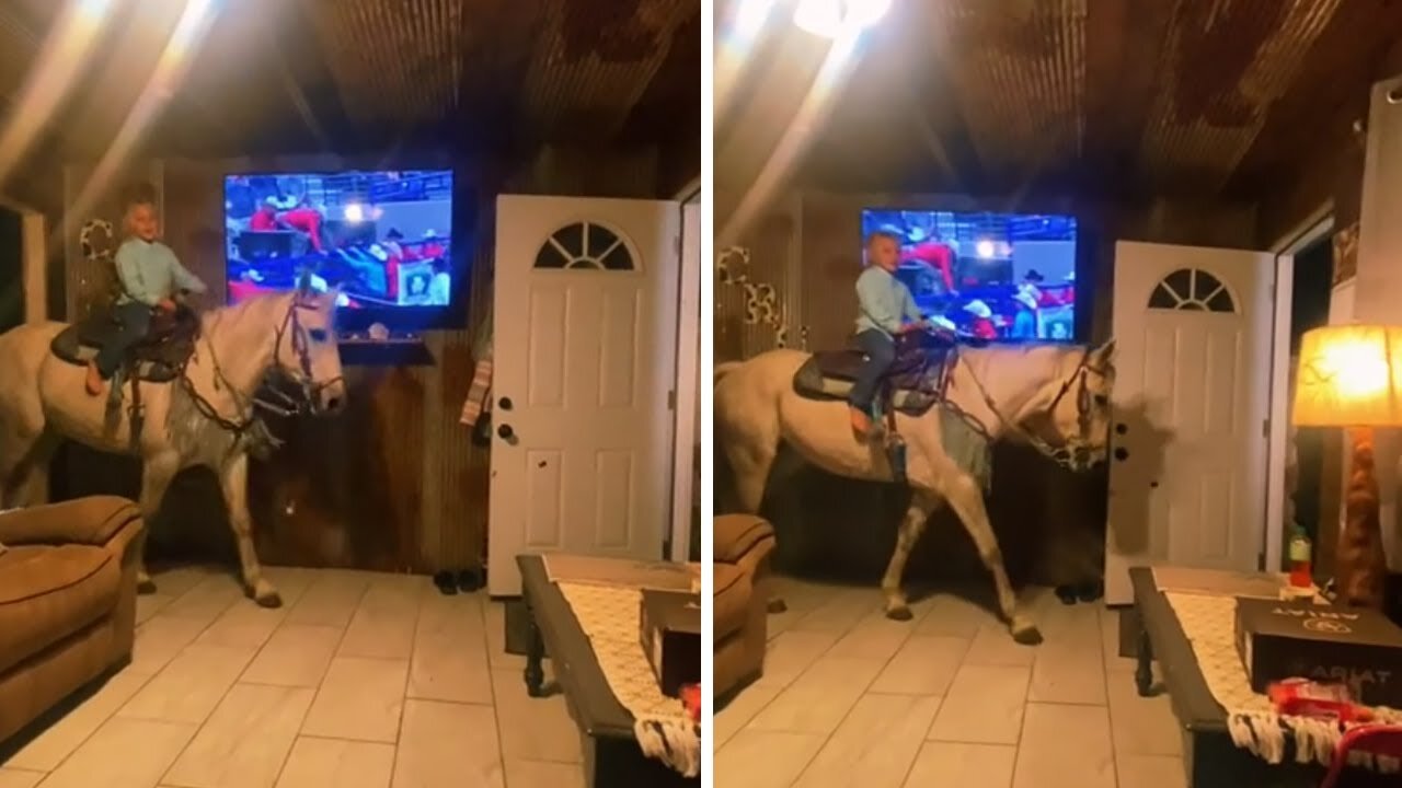 Boy nonchalantly rides horse through the house #shorts