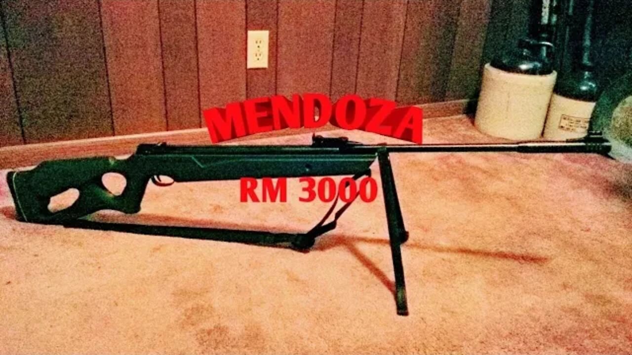 Mendoza RM 3000