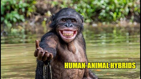 Human-Animal Hybrids: Fact of Fiction