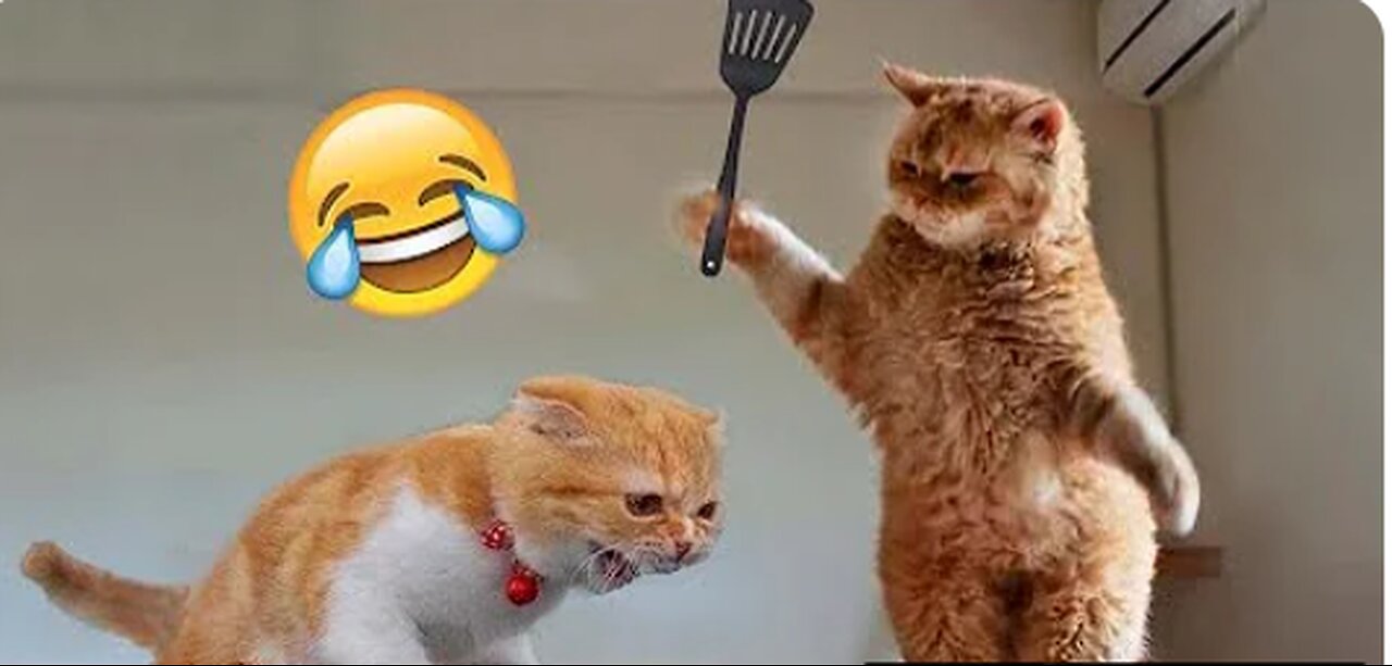 The Ultimate Animal Comedy: Funniest Videos of 2023 for All Ages