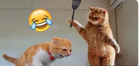 The Ultimate Animal Comedy: Funniest Videos of 2023 for All Ages