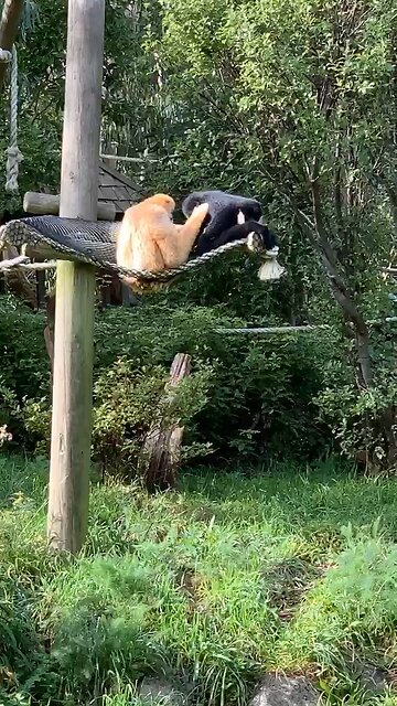 chilling in sun 🌻🙊