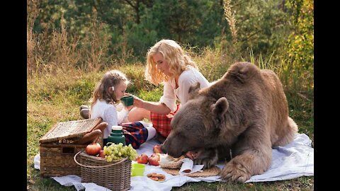 Shocking video from Russia. A man feeds a bear