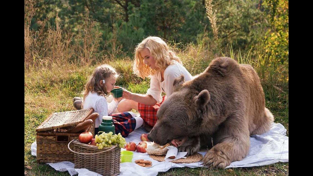 Shocking video from Russia. A man feeds a bear