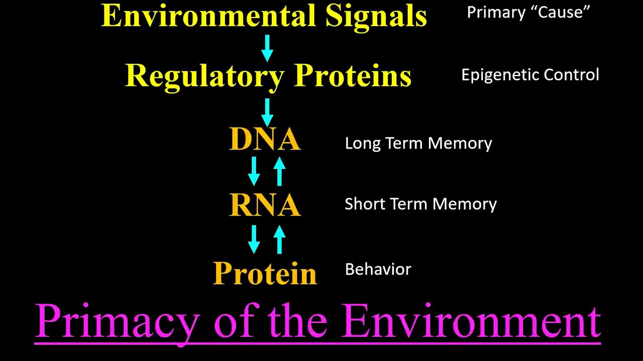 How do you protect your DNA? The Shocking TRUTH!