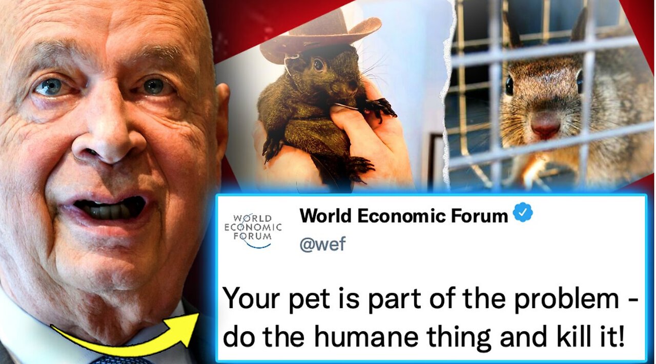 WEF Orders Slaughter of Pets Owned by Citizens With Low Social Credit Scores