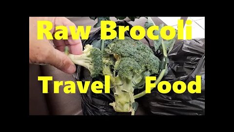 Raw Broccoli Top Travel Food