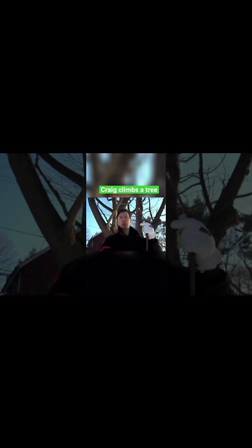 Craig vs Wild 🏔 #kyledunnigan #comedy #craig #survialtips #fyp