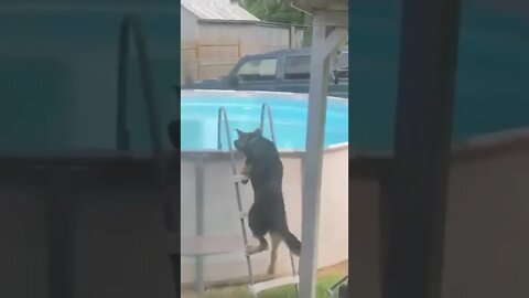 wow he can do that!😊👍😍😍😍