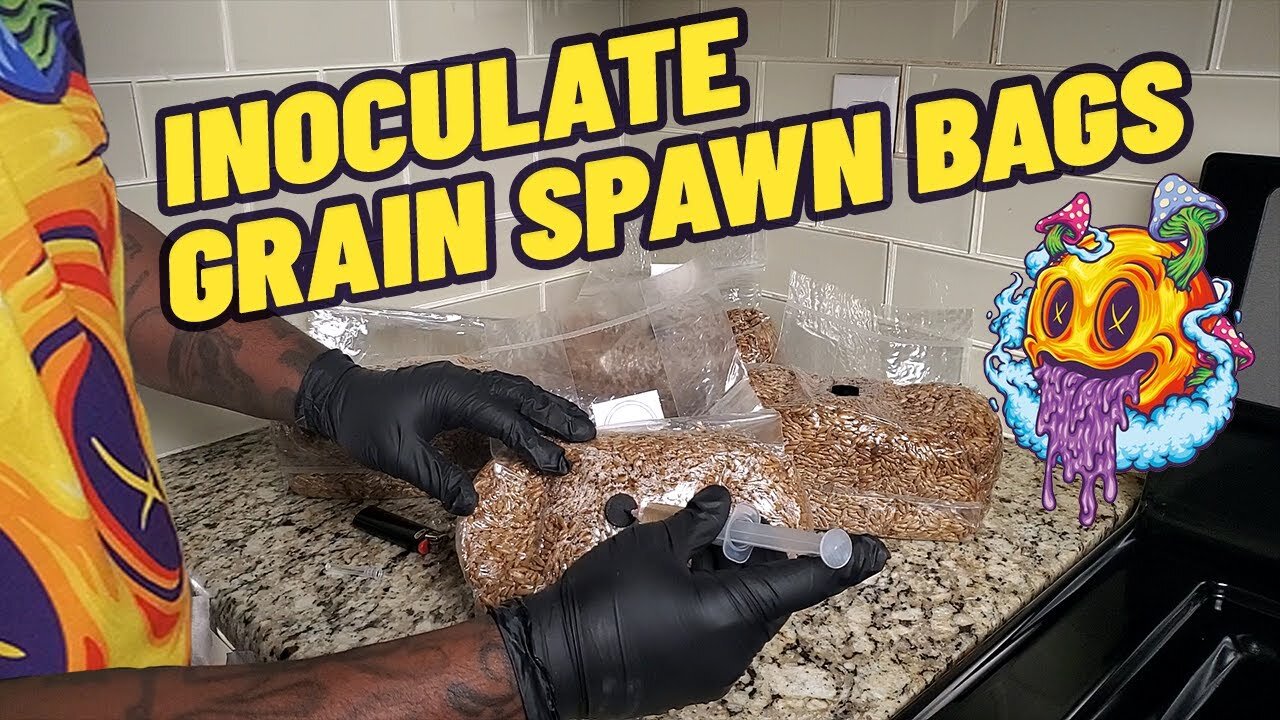 How To Inoculate Grain Spawn Bags (My First Time)