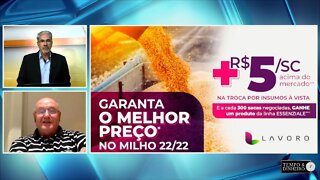 Lavoro segue com campanha para barter com milho a +R$5,00 e para defensivos