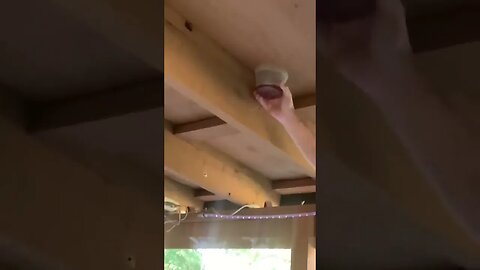 Using Gas to Take Out Wasps