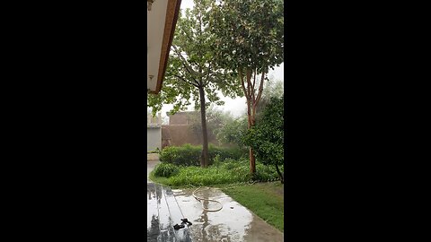 Weather ❤️￼🌎