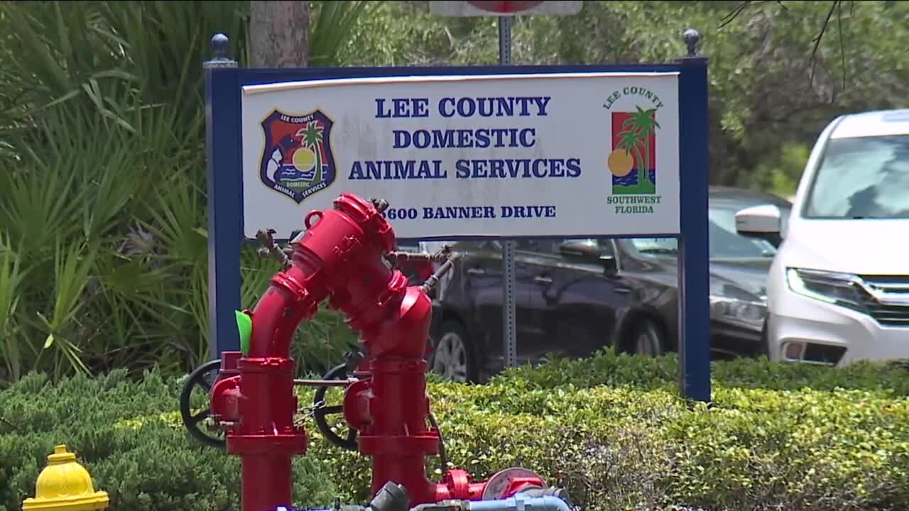 Group plans protest of pet adoption event