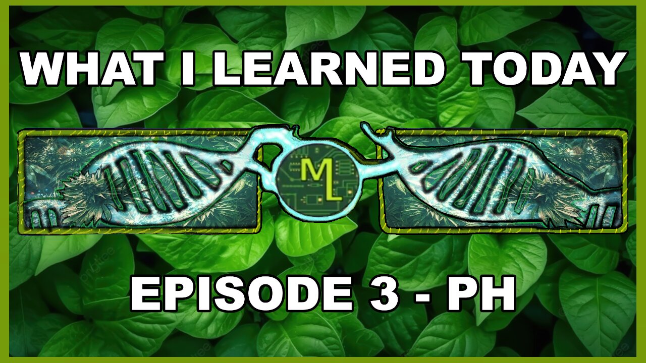 MadLabZ - What I learned Today Series - Episode 3 PH