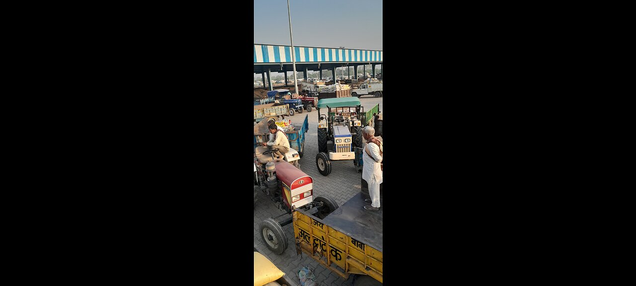 Farmer come here to sell there crop