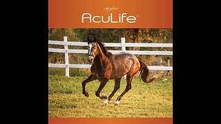 Lifewave Aculife Patch for Horses