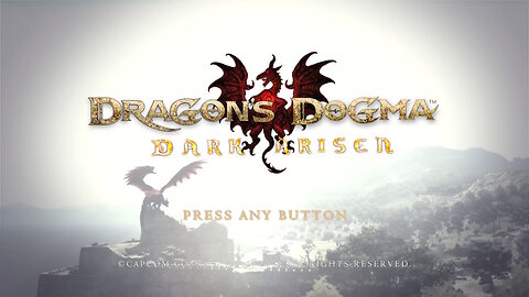 Dragons Dogma #1