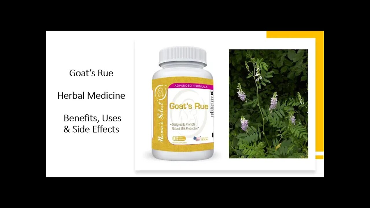 Goats rue - Herbal Medicine - Benefits, Uses & Side Effects