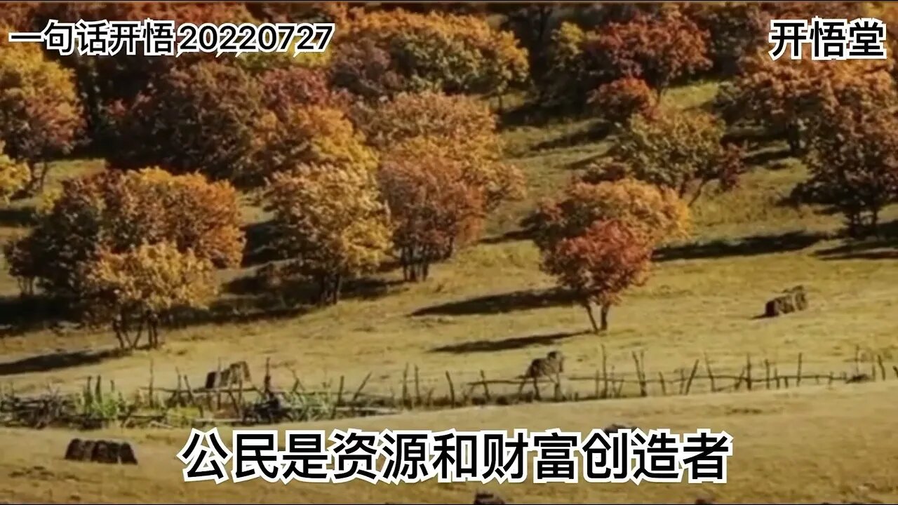 一句话开悟20220727