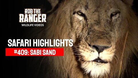 Safari Highlights #409: 14 - 16 May 2016 | Sabi Sand Wildtuin | Latest Wildlife Sightings