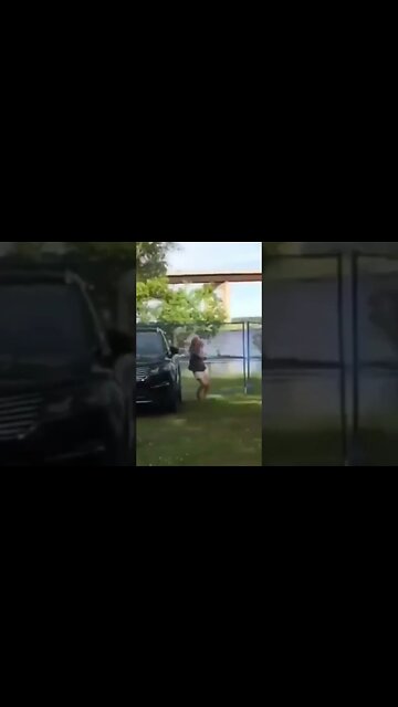 Bro save the day #funnyvideos #animals #dog #cat #meme #cute #fyp #viral #xuhuong