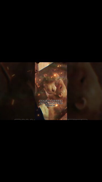 ⚡️TALKING POLITICS AT THANKSGIVING...