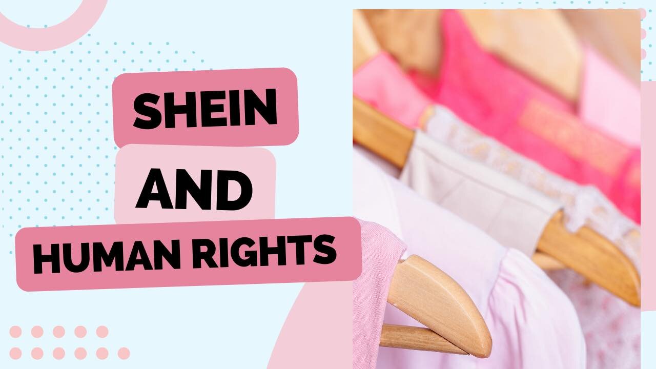 Shein and Human Rights | Those Other Girls Clips