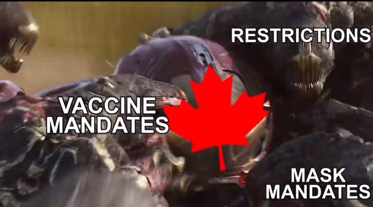 Canadian Avengers