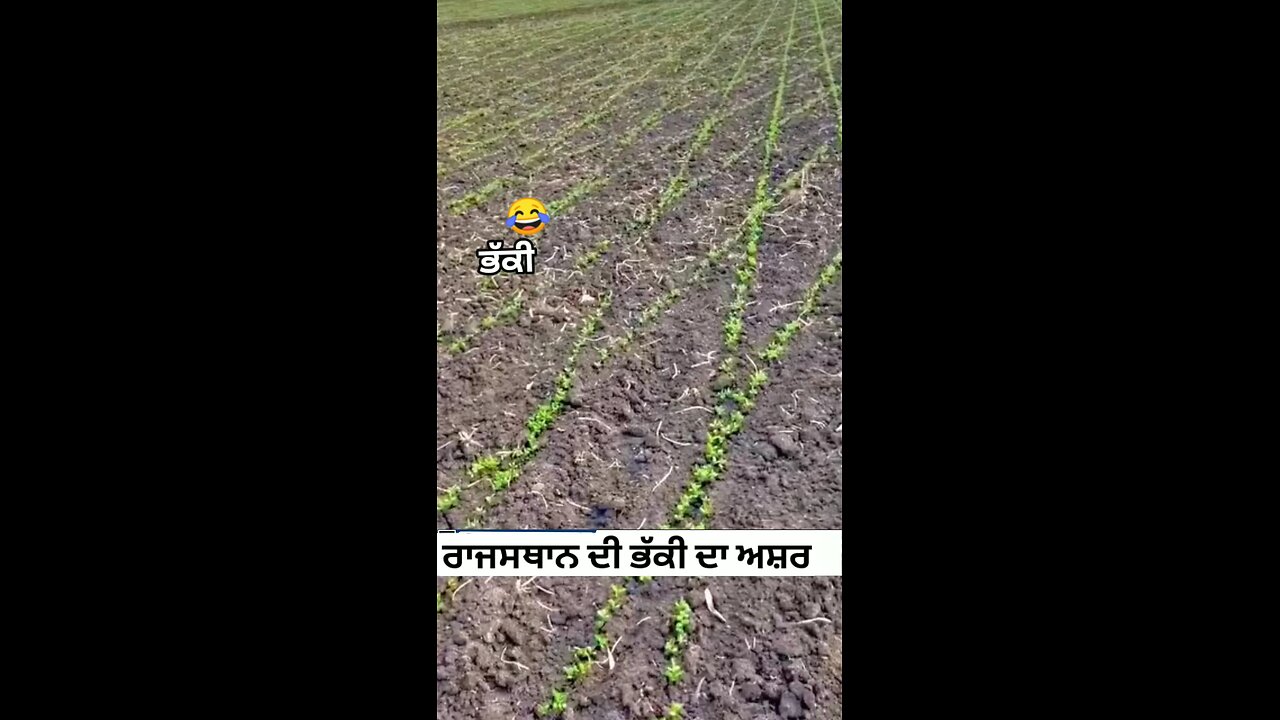 ਭੁੱਕੀ ਦਾ ਅਸਰ