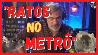 “NEM EM NOVA YORK E NEM NO BRASIL O GOVERNO É EFICIÊNTE” SETH KUGEL AMIGO GRINGO