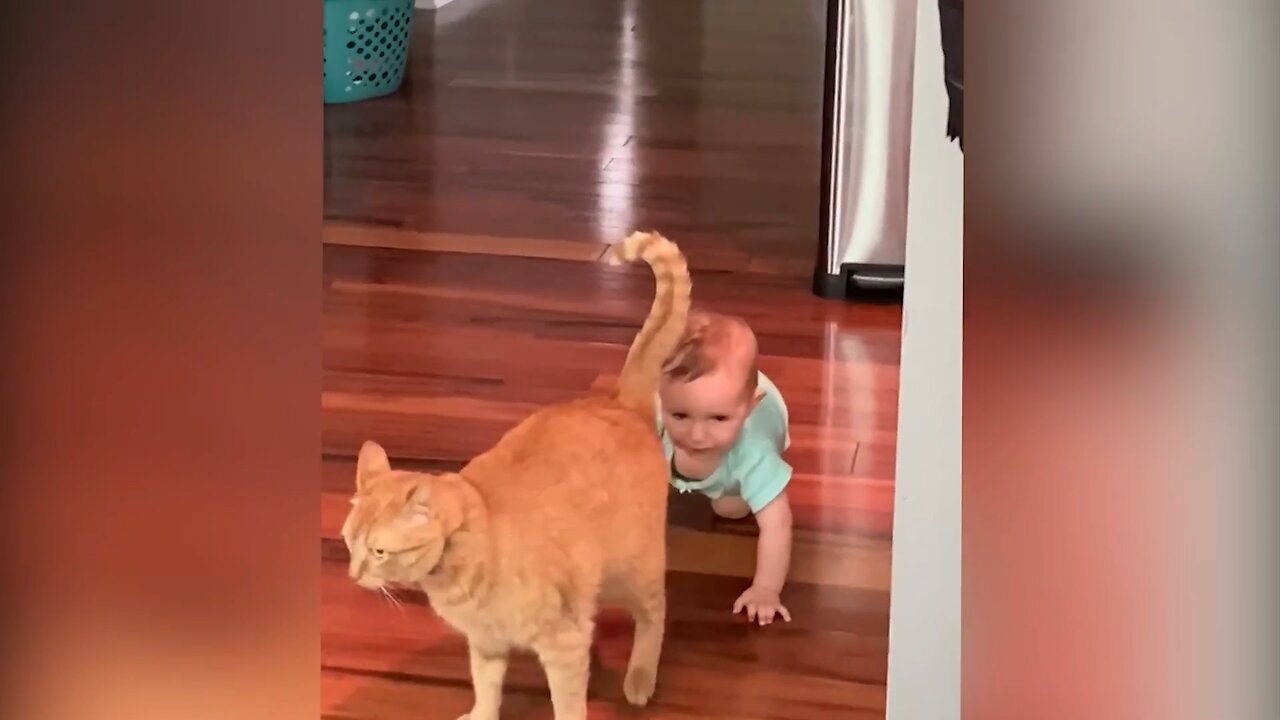 The kid is licking the cat's butt