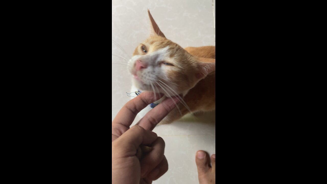 Miningyeahh