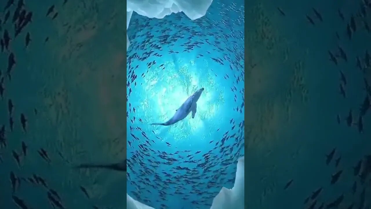 Amazing views