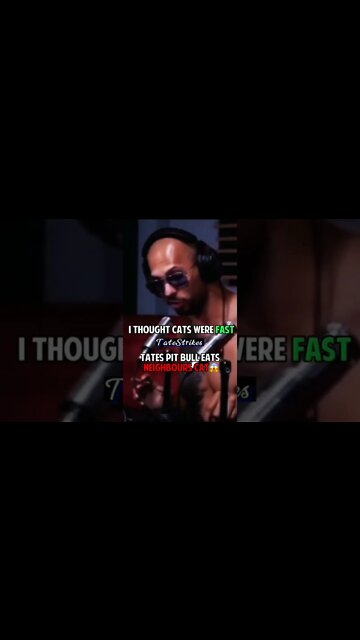 "I KILLED A CAT" | ANDREW TATE