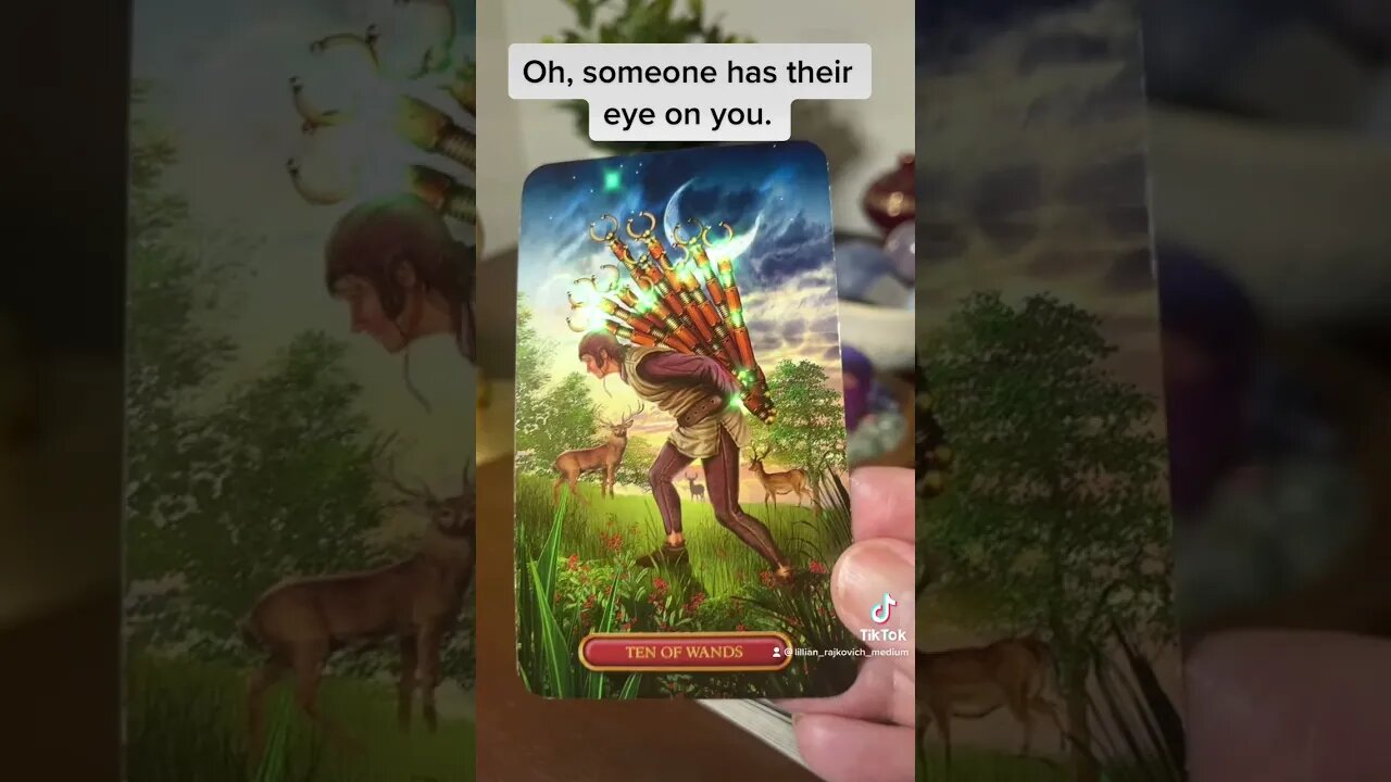 Unexpected surprise!