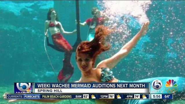 Weeki Wachee Springs State Park looks for new mermaids