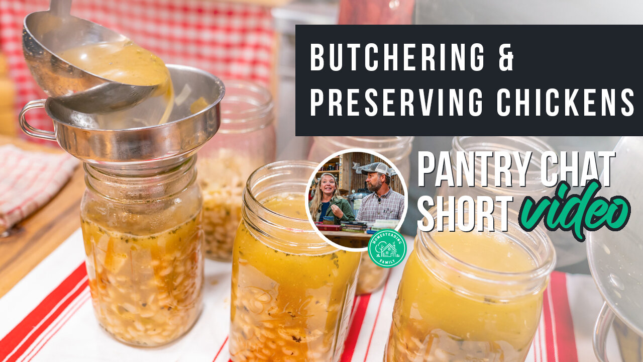 Butchering & Preserving Chickens | Pantry Chat Podcast SHORT