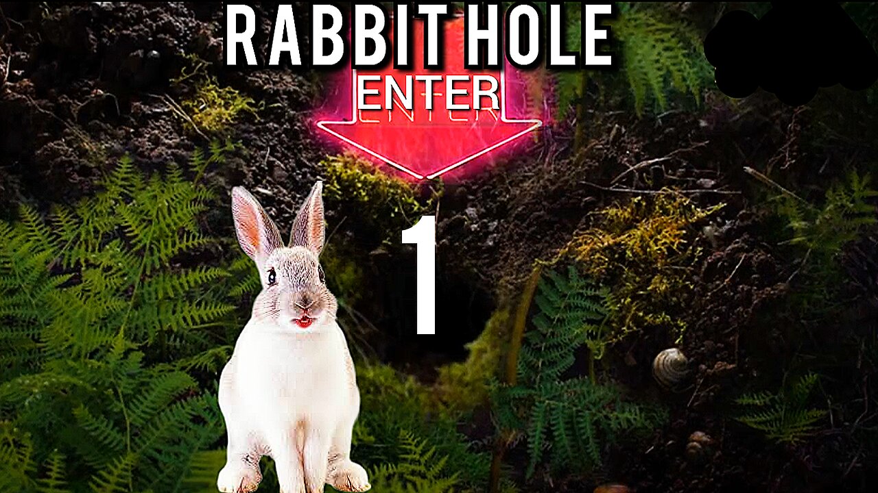 'Enter The Rabbit Hole' 1. "Big Banks, Drug Money Laundering & Dirty 'Deep State' Politics" Documentary 1-2