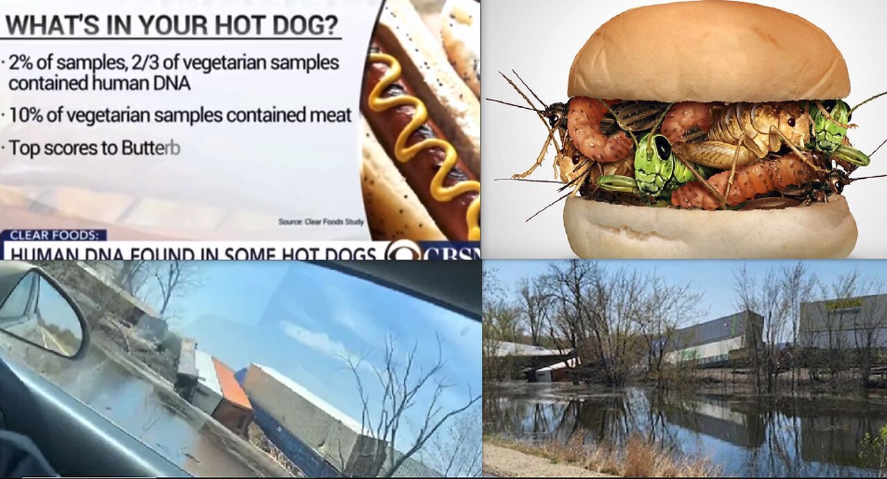 TRAIN DERAILS INTO MISSISSIPPI*HUMAN DNA IN HOT DOGS?*IRAN SEIZES HOUSTON TANKER*SUDAN PROXY WAR*