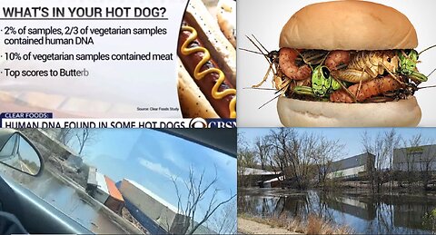 TRAIN DERAILS INTO MISSISSIPPI*HUMAN DNA IN HOT DOGS?*IRAN SEIZES HOUSTON TANKER*SUDAN PROXY WAR*