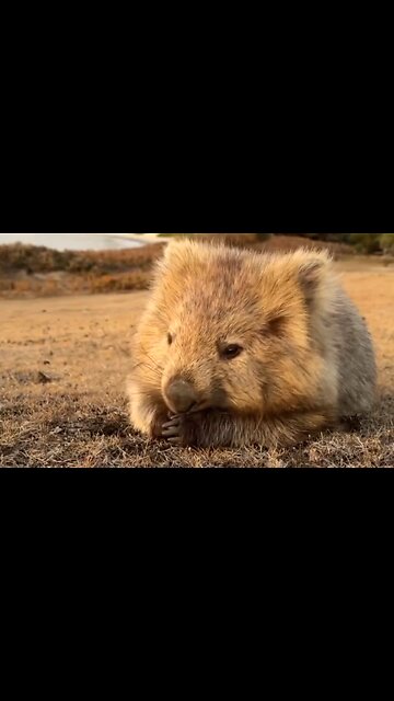 THE PROBLEM OF LAZINESS - DAILY DEVOTIONAL ❤️