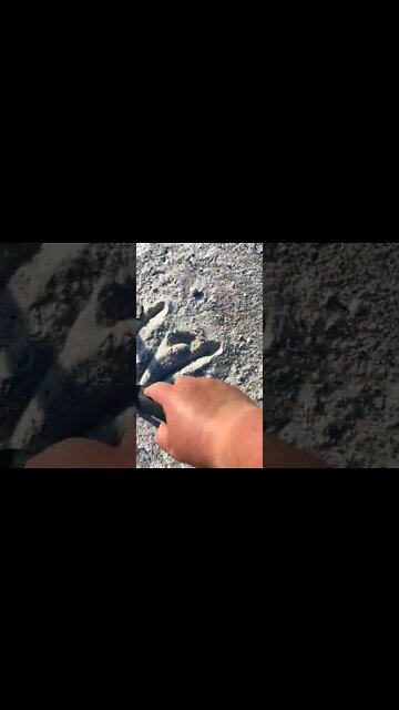 Beach Detecting | Equinox | Silver Jewelry #shorts